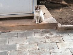 -龙达温泉生态城