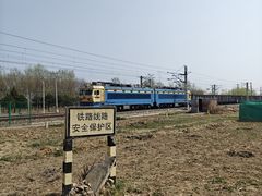 -东郊湿地公园
