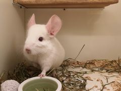 -龙猫仔乐园(惠福东路店)