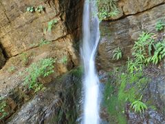 -白草畔自然风景区