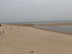 -日照海滨国家森林公园