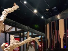 店内布置-渔家灯火(领秀城店)