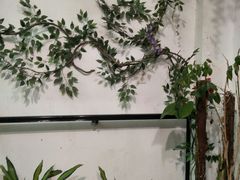 -茶油香闽南菜·花园餐厅(前埔店)