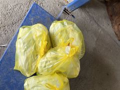 -马陆小张葡萄园农家乐