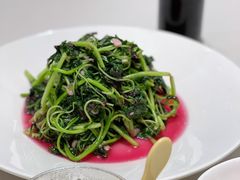 米苋菜-高佳庄·舟山海鲜(海景旗舰店)