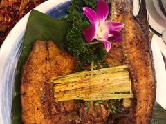 -紫滇源云南生态菜(丹凤街店)
