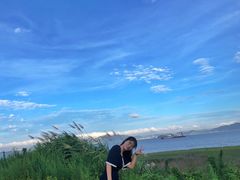 -阿南海鲜
