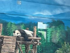 -大青山野生动物园