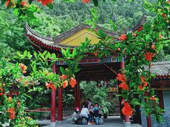 -华清宫景区