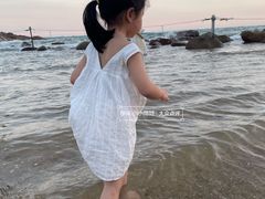 -广东惠东海龟国家级自然保护区