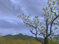 -碓臼峪自然风景区