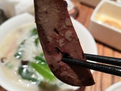 -MR鹅外