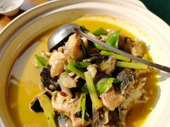 黄焖鲟龙鱼-饭怕鱼(阳光100店)