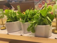-一围肥牛肉小火锅(佳兆业广场店)