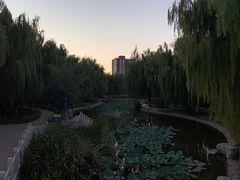 -丰台科技园生态主题公园