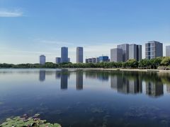 -尚贤河湿地