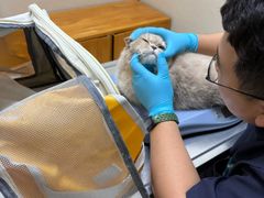 -爱妮康宠物医院·干细胞免疫细胞·肿瘤·心脏(张江店)