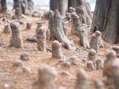 -东湖落雁景区