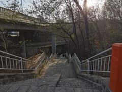 -白水寺森林公园