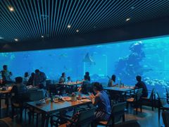 大堂-海棠湾洲际-涛·海底餐厅·美人鱼·自助餐·海底隧道