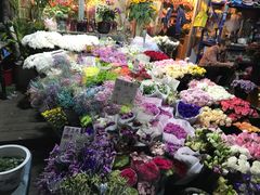 -曲阳花鸟市场(曲阳路店)