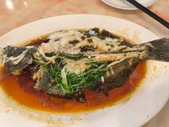 -新金盛·海鲜酒楼(盐田店)