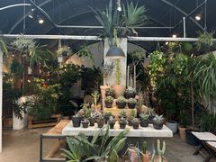 -自由生长植物工作室(深港花卉中心店)