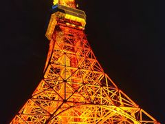 -东京塔海贼王主题公园