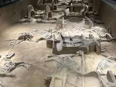 -洛阳周王城天子驾六博物馆