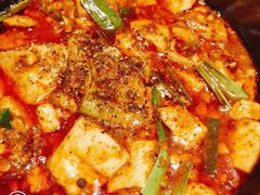 -陈麻婆豆腐总店