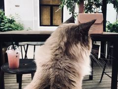 -灯塔咖啡馆BOOK·Coffee Shop