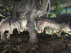 -湖南省地质博物馆