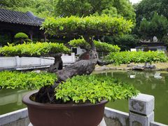 -泰州凤城河风景区-泰山公园