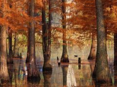 -白鹭湾湿地公园