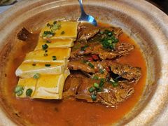 -买福记大盘鸡新疆菜