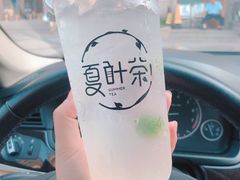 -夏叶茶(大光明店)