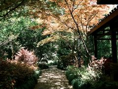 -杭州半山国家森林公园