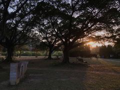 -南沙蒲洲花园