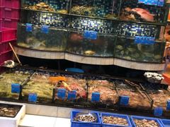 -揭阳钟记小食(福田新村店)
