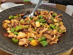-聚鑫朋酸菜肥肠(文艺路口店)