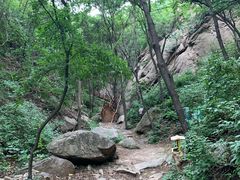 -大岭沟猕猴桃谷风景区