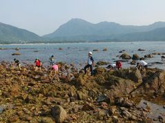 -西涌国际滨海旅游区