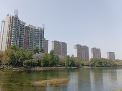 -启香鸡私房菜(湖景店)