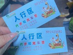 -太湖龙之梦