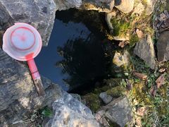 -黑河国家森林公园