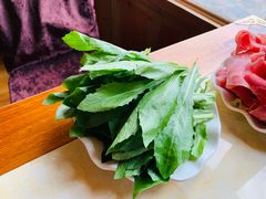 藏红花苗-顺顺小吃(独克宗古城店)