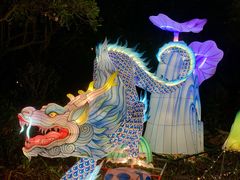 -欢乐海岸椰林沙滩-2025湾区超级灯会