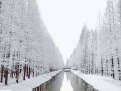 -黄海国家森林公园