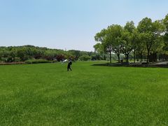 -宜兴龙背山森林公园