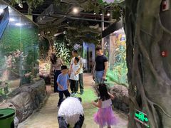 -正佳雨林生态植物园